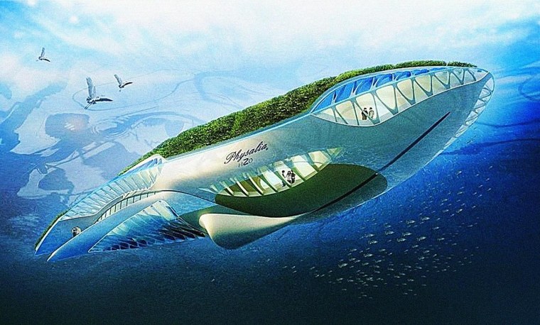 Physalia Каллебо