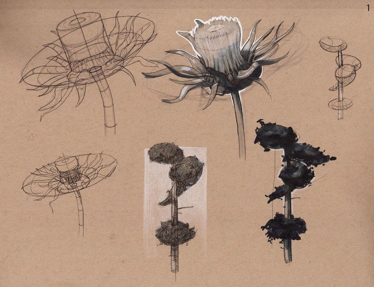 Зарисовки природных форм