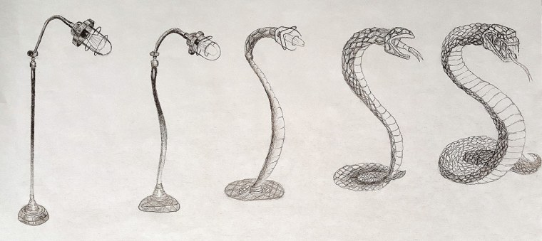 Зарисовки природных форм