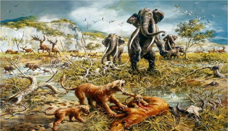 Естественный отбор Дарвин