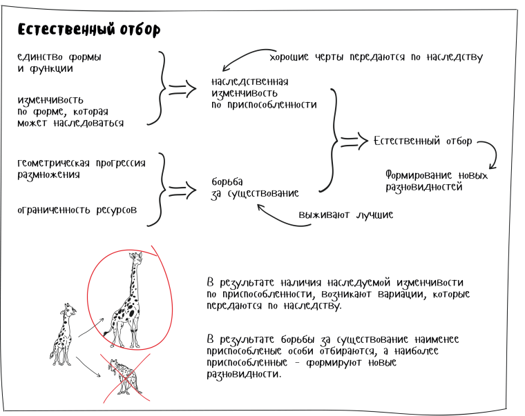 Теория естественного отбора