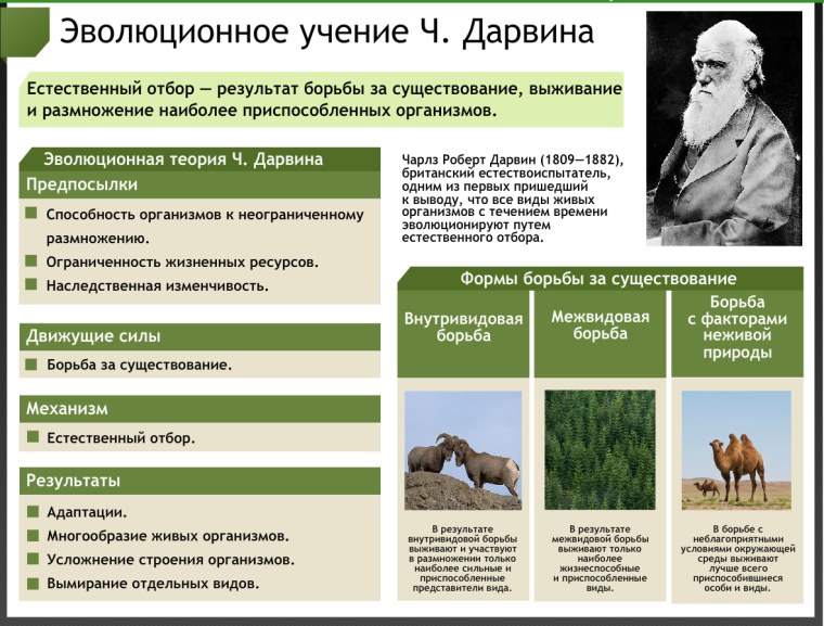 Теория естественного отбора Чарльза Дарвина