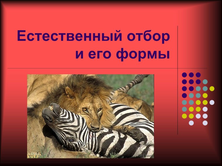 Картинки к теме естественный отбор