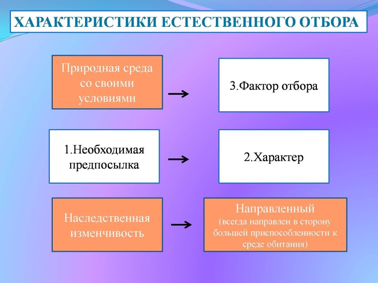 Основные движущие силы эволюции