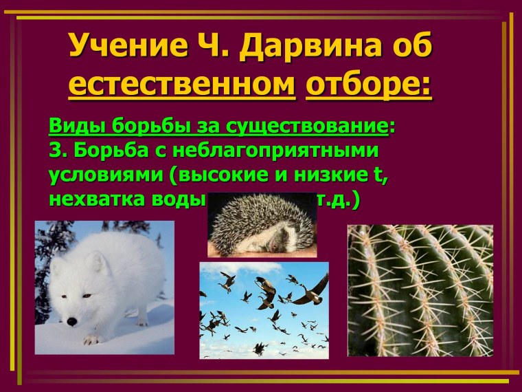 Борьба с неблагоприятными условиями существования