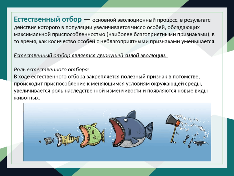 Естественный отбор это в биологии