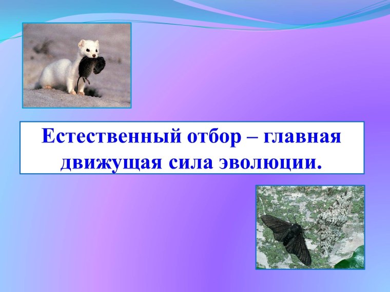 Естественный отбор Главная движущая сила