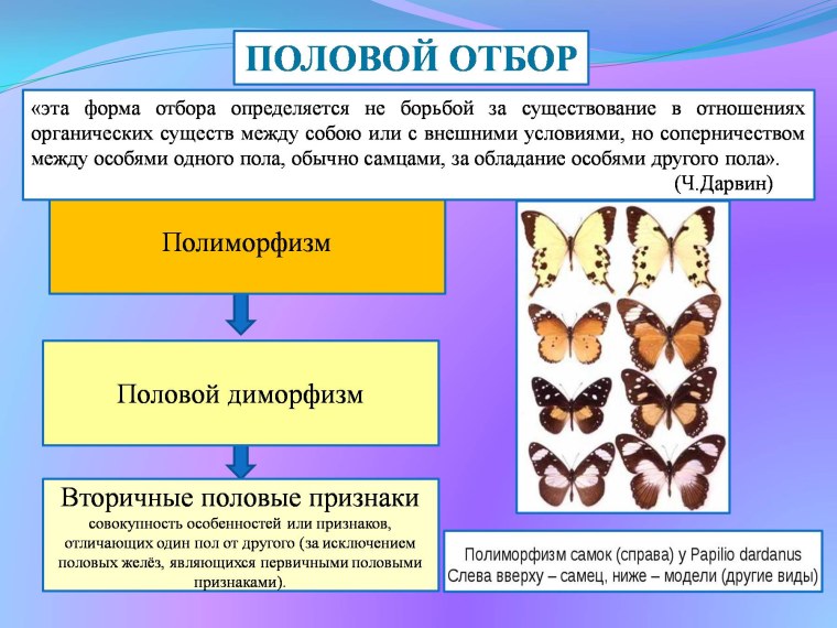 Движущий отбор стабилизирующий отбор дизруптивный отбор