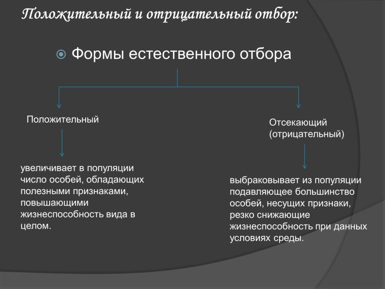 Положительный и отрицательный отбор