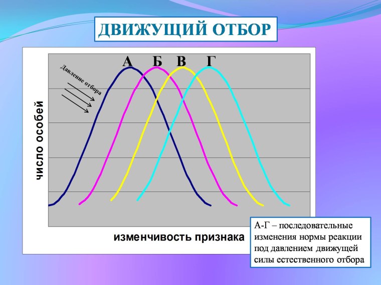 Движущая форма естественного отбора