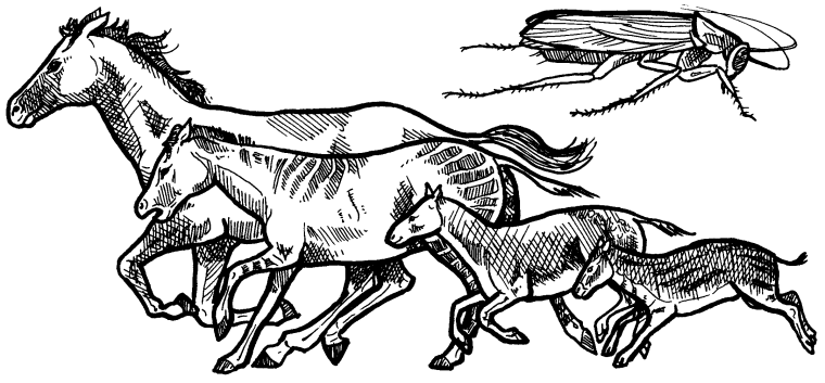 Естественный отбор рисунок