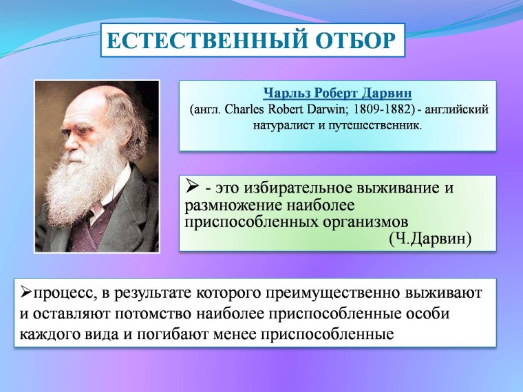 Естественный отбор по Дарвину