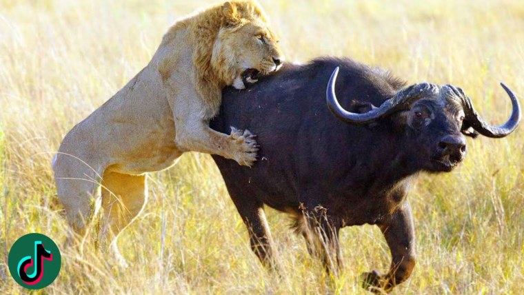 Естественный отбор фото