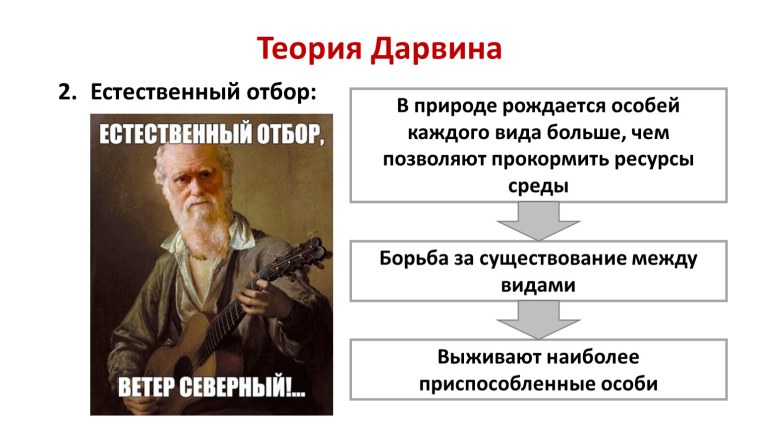 Чарльз Дарвин - основоположник эволюционного учения.