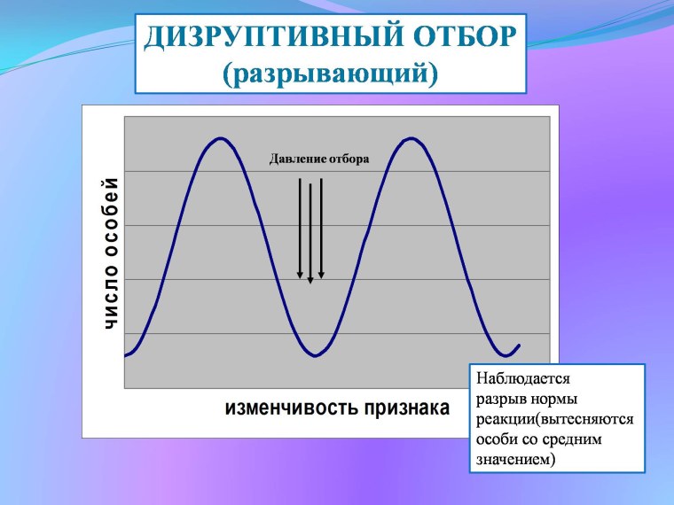 Норма реакции дизруптивного отбора