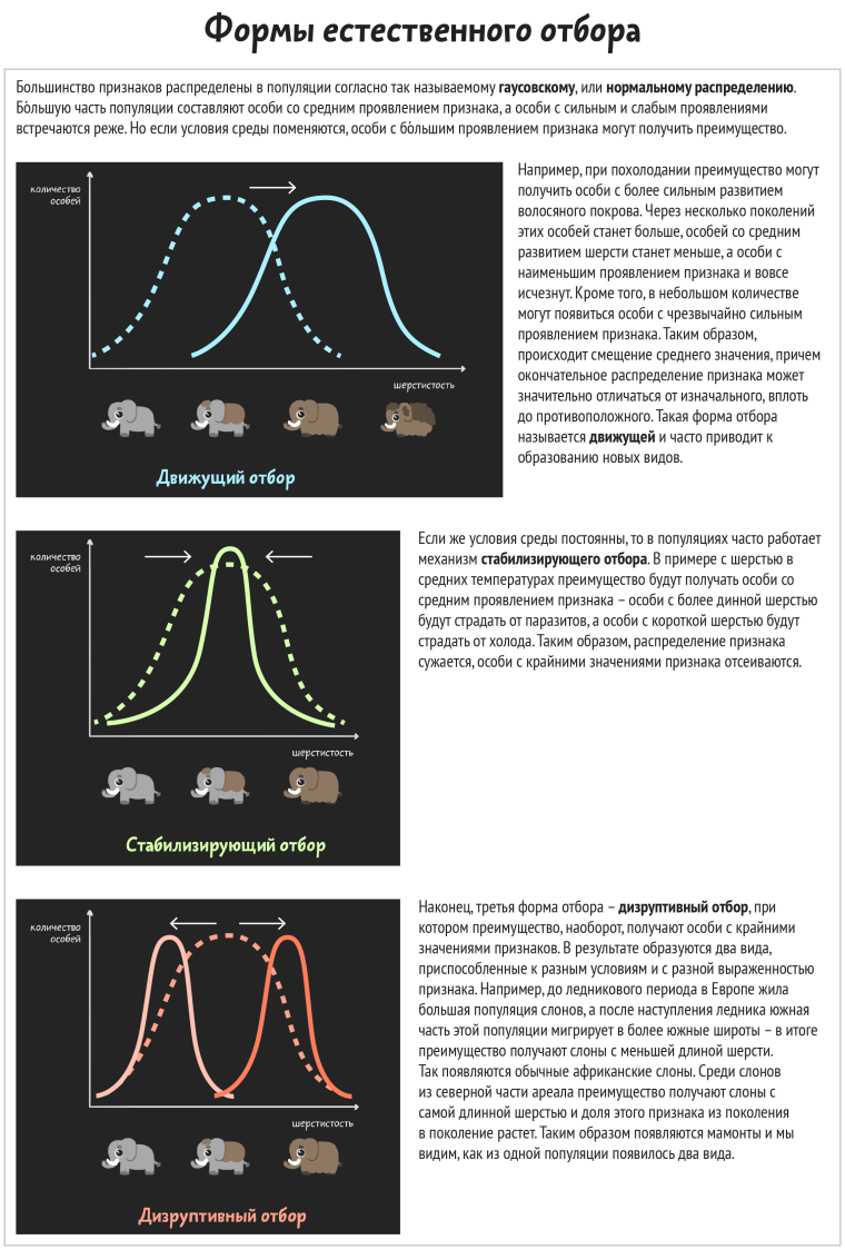 Формы естественного отбора 11 класс