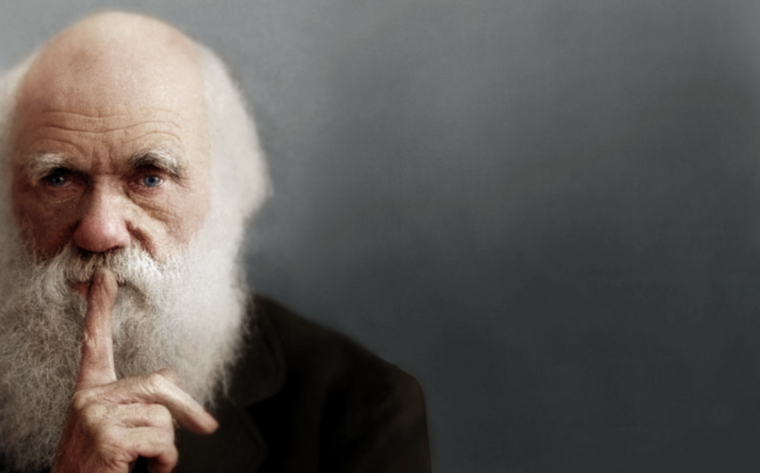 Чарльз Дарвин ТСС