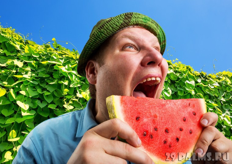Арбузный человек