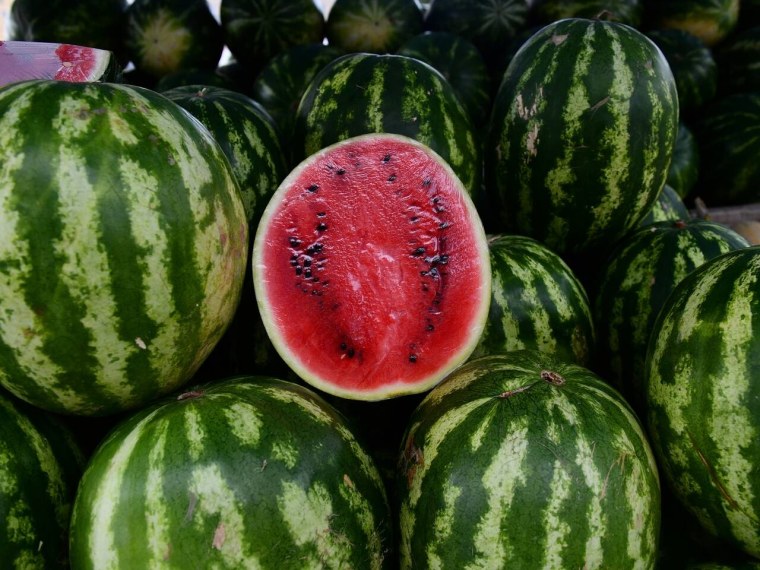 Бахчевой Арбуз