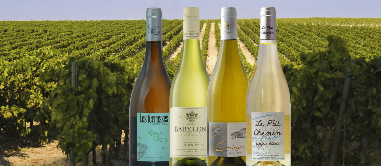 Сорт Шенен Блан