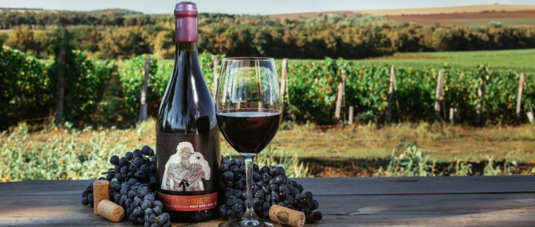 Международный день вина Пино Нуар 18 августа