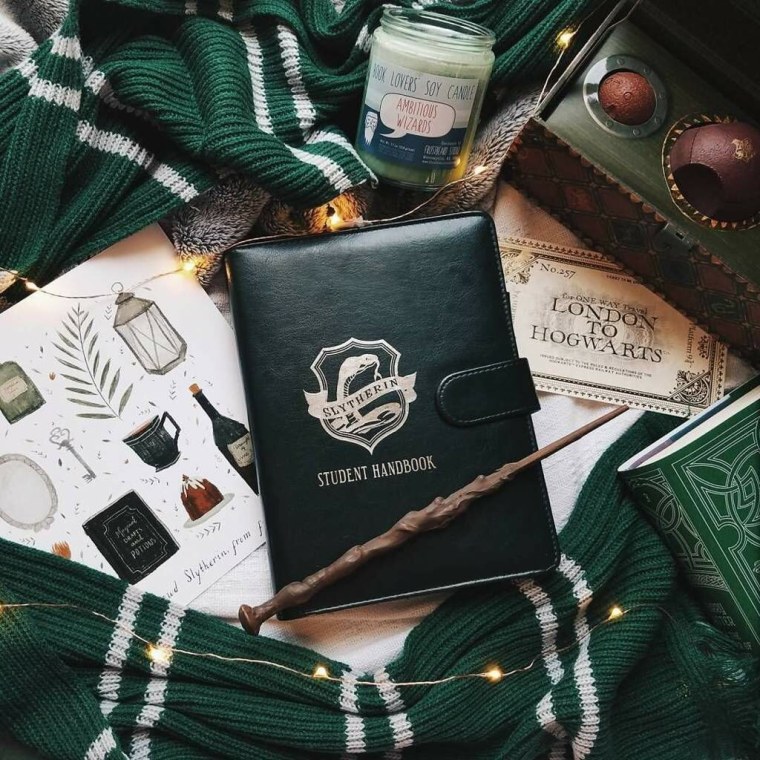 Гаррипоттерэстеика лсизерин