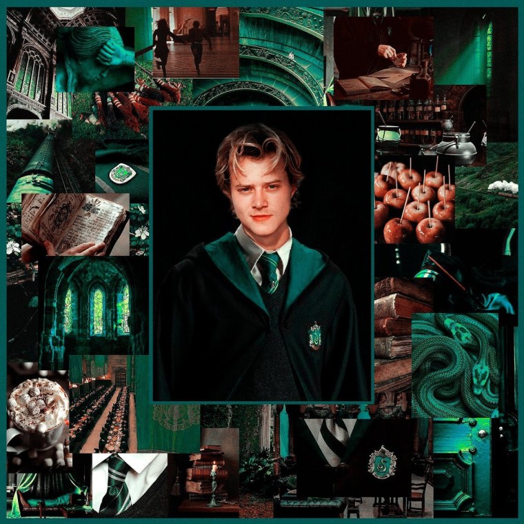 Слизерин Эстетика Драко