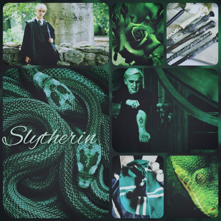 Слизерин Эстетика Драко