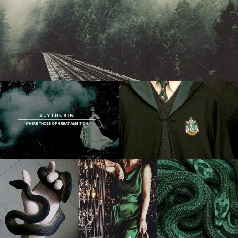 Змеи Эстетика Слизерин Малфой