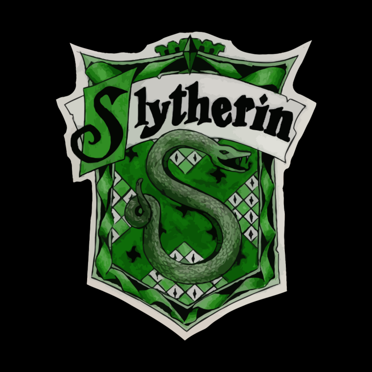 Палочка из Гарри Поттера Факультет Слизерин