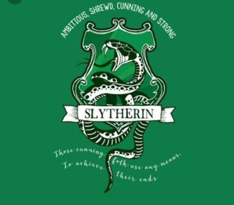 Гарри Поттер принт Слизерин