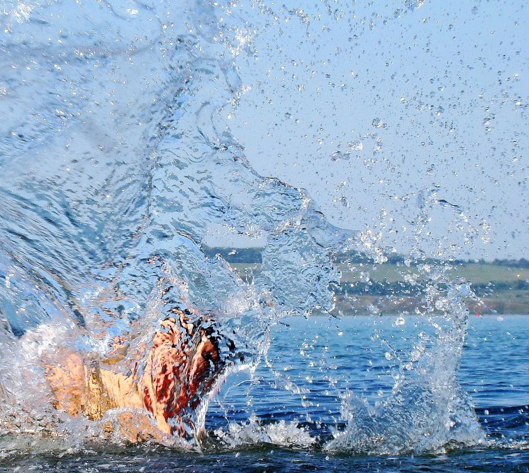 Брызги воды