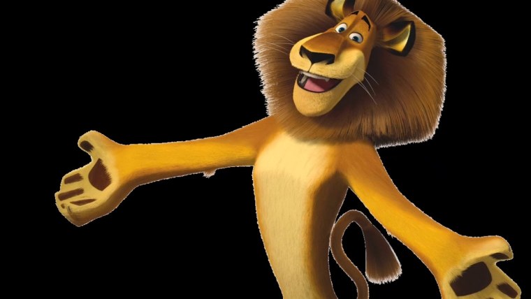 Лев Мадагаскар на белом фоне