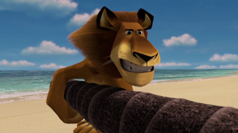 Мартин и Алекс Мадагаскар