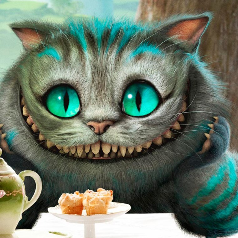 Айфон 5 чехол Чеширский кот