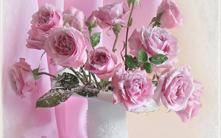 Открытка с днём рождения