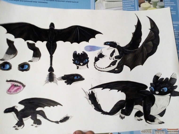 Крылья Беззубика и дневной фурии