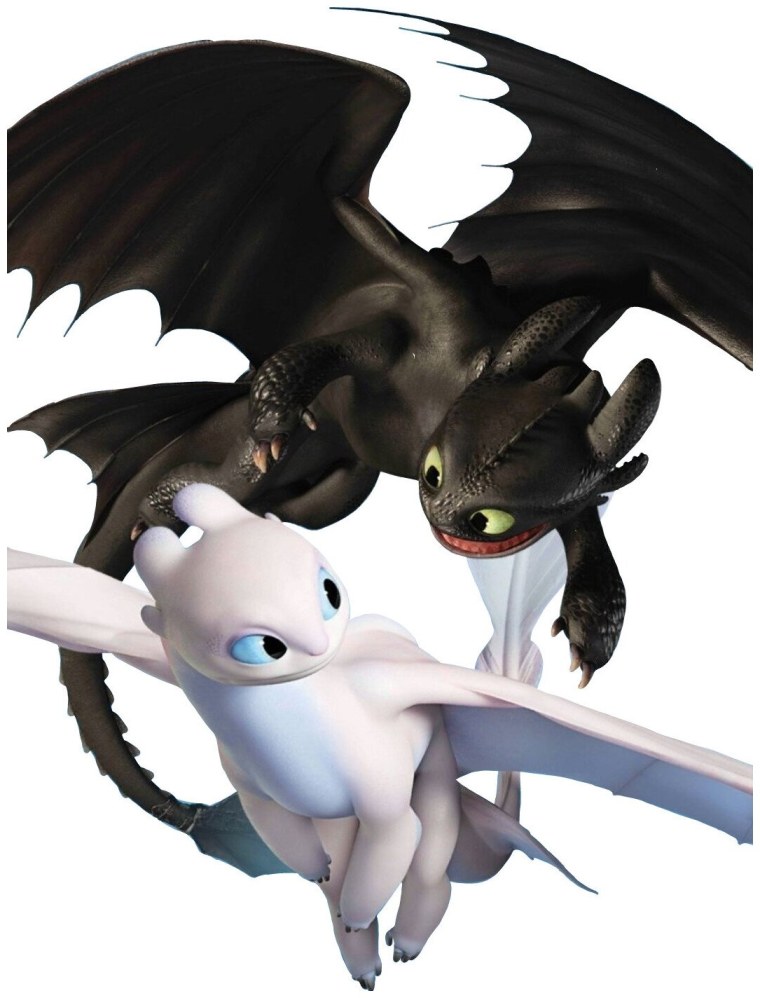 Toothless and Light Fury
