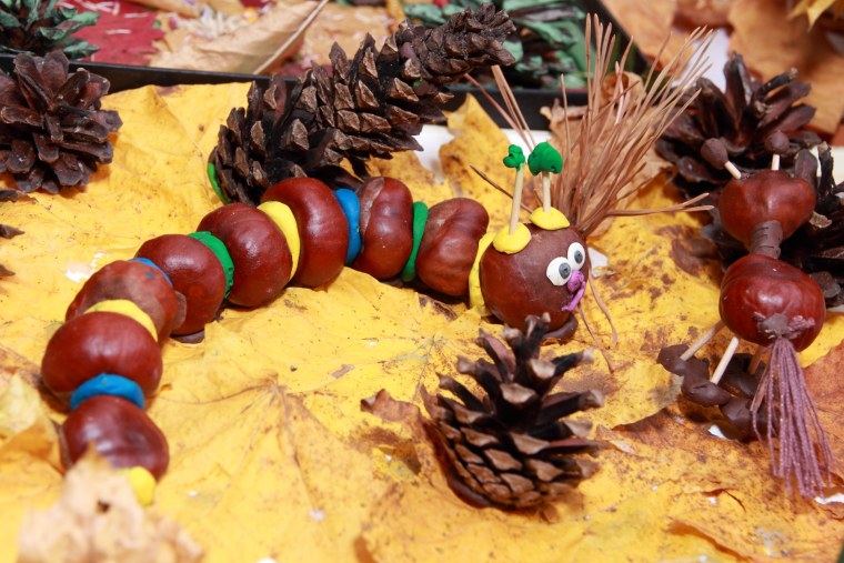 Поделки из природных материалов