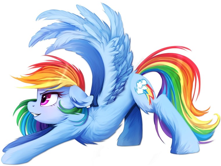 Рейнбоу Дэш пони