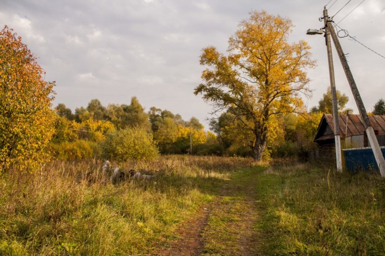 Осень деревня усадьба