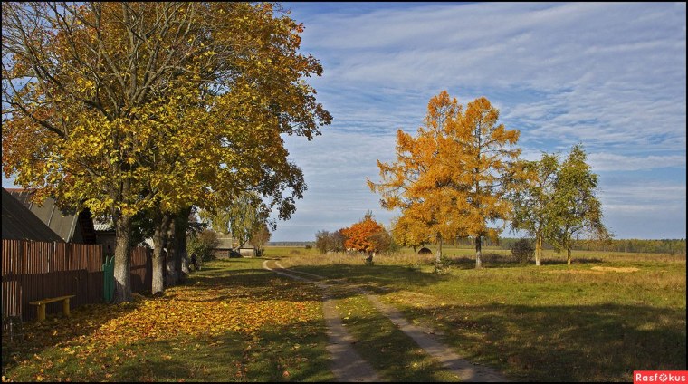 Красивая осень в деревне