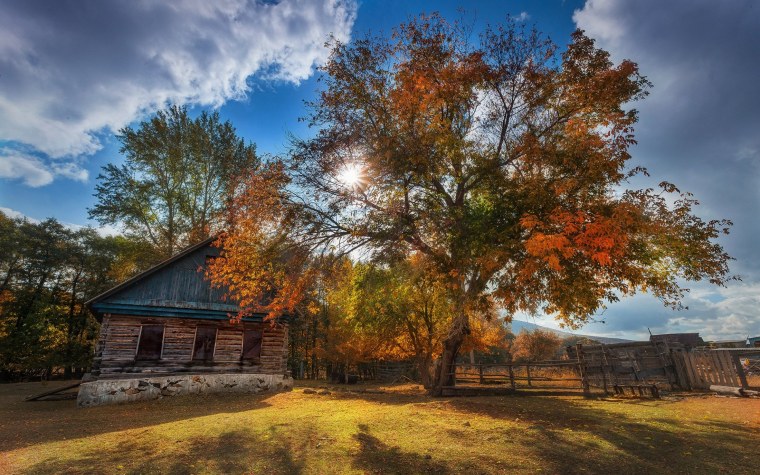 Осень в деревне