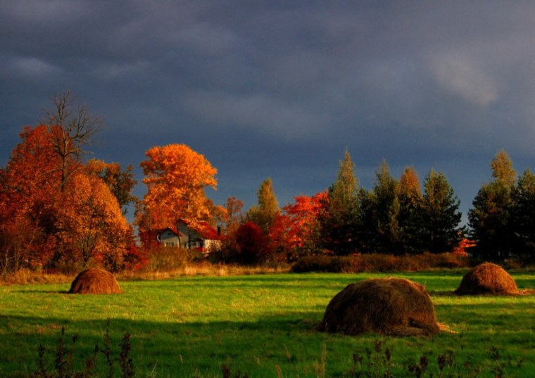 Осень природа деревня