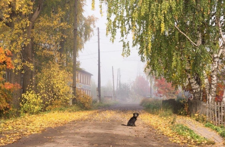 Осень в деревне