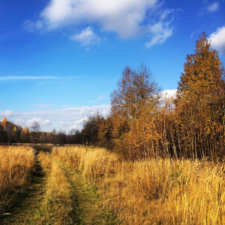 Природа осенью в деревне