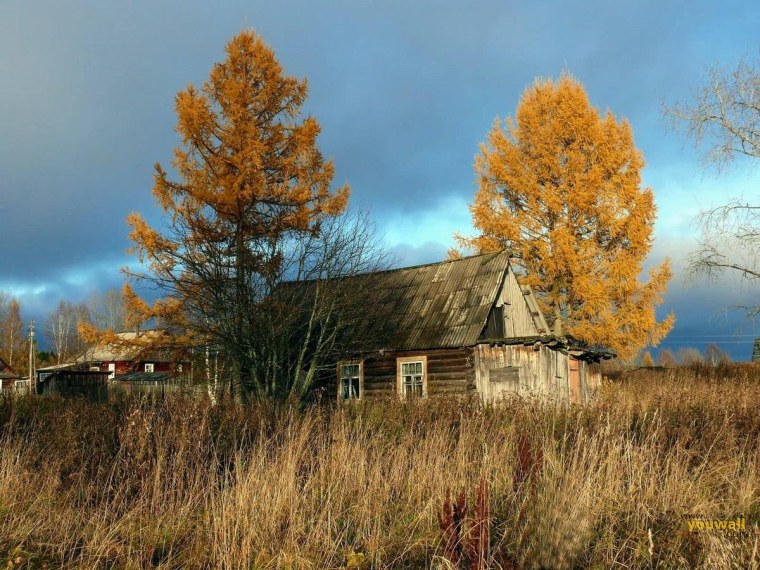 Осень в заброшенной деревне