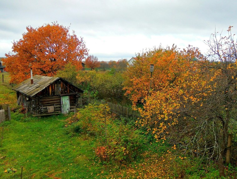 Золотая осень в деревне