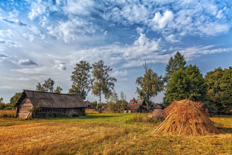 Лето в деревне