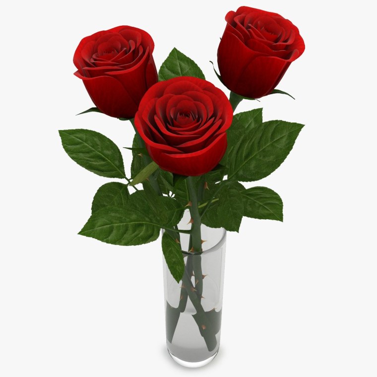 Красная роза в вазе
